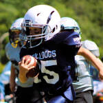 Burnham RB3