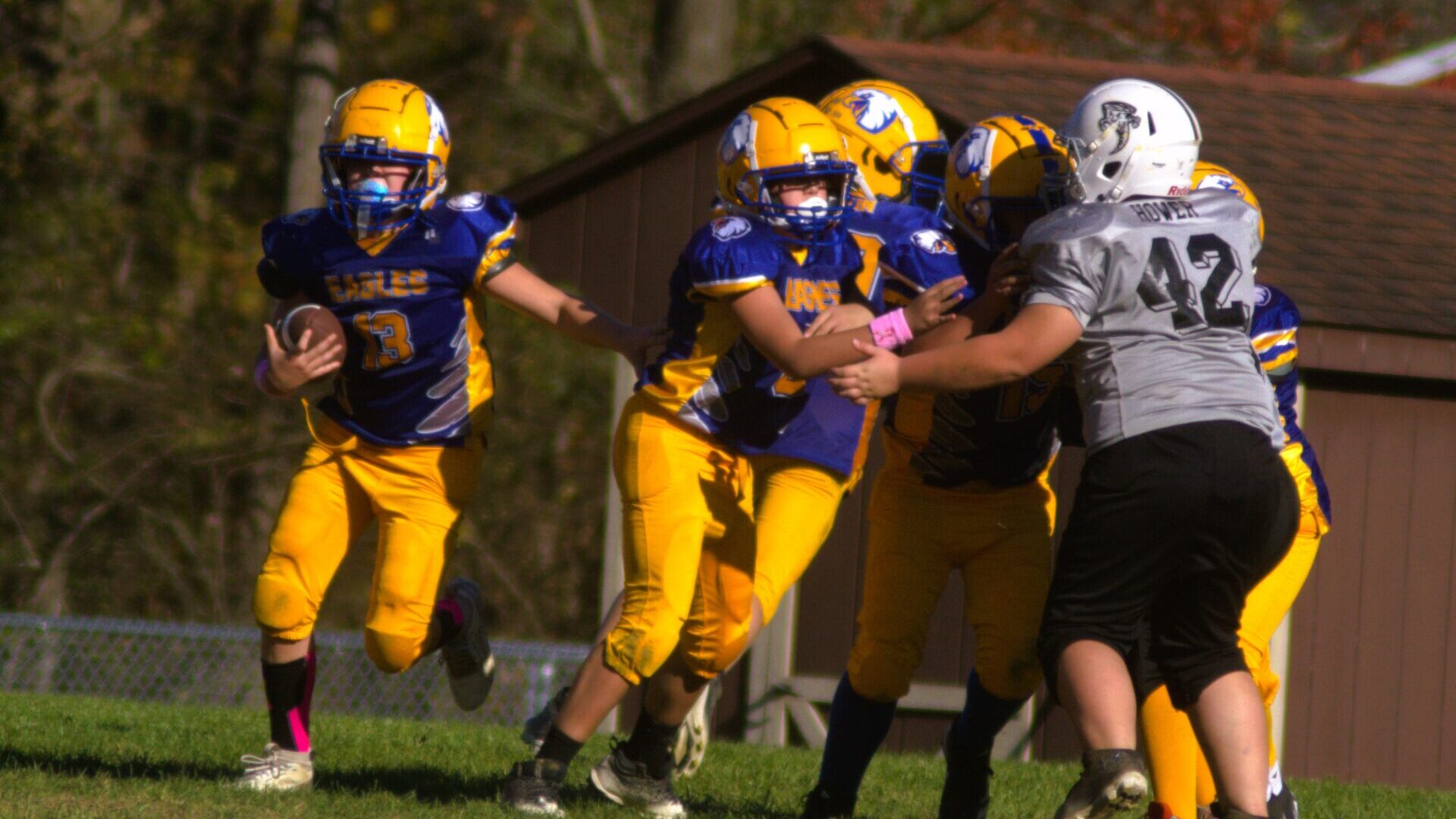 Week 5 Recap: Season Reaches the Midway Point